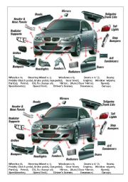 English Worksheet: Car Parts