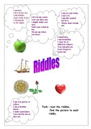 English Worksheet: English riddles
