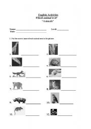 English worksheet: Animals