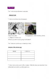English Worksheet: Unsolved Mystery - The Abominable Snowman