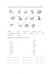 English worksheet: wild animals