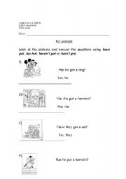 English worksheet: has got /hasnt got with questions