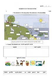 English Worksheet: elements in the ecosystem