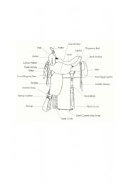 English worksheet: Saddle parts