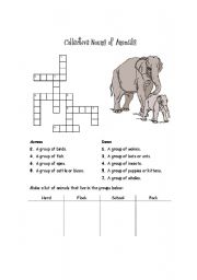 English Worksheet: Crossword Collective Nouns Animals