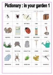 English Worksheet: PICTIONARY IN YOUR GARDEN 1