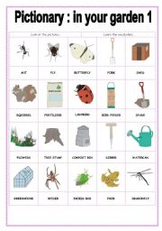 Pictionary In Your Garden 1 Esl Worksheet By Storyteller