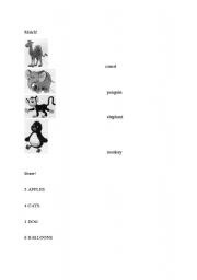 English worksheet: Animals