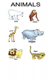 English worksheet: Animals