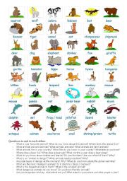 English Worksheet: Animals and Nature