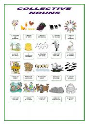 English Worksheet: Collective Nouns Pictionary