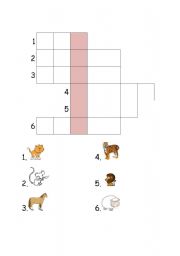 English worksheet: animal crossword