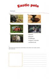 English worksheet: Exotic pets part II