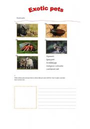 English Worksheet: Exotic pets part II