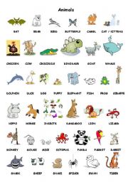 English Worksheet: Flyers Animals