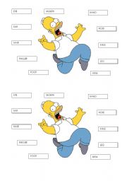 HOMERO