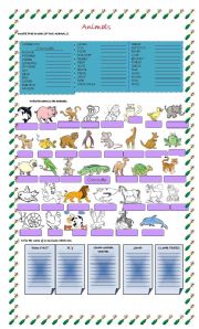 English Worksheet: animals abilities