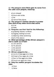 English worksheet: Penguin Quiz