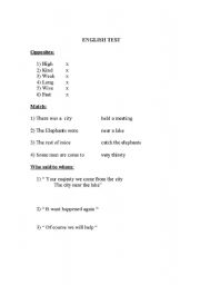English Worksheet: English Test