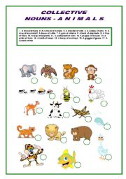 English Worksheet: Collective Nouns - ANIMALS  - Matching Worksheet