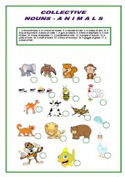 Collective Nouns - ANIMALS  - Matching Worksheet