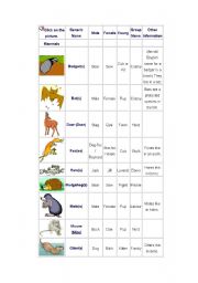 English worksheet: Animals