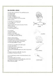 English worksheet: sea creatures