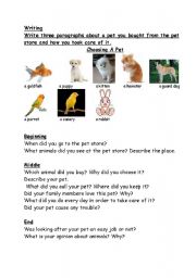 English worksheet: The Pet Store