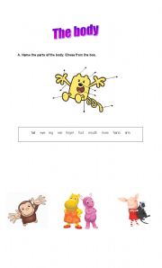 English Worksheet: The body