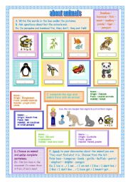 English Worksheet: Animals you can see in a zoo