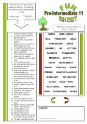 English Worksheet: Fun Sheet Pre-Intermediate 11