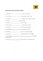 English Worksheet: Verb patterns