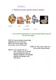 English worksheet: Animals