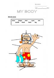 English worksheet: body