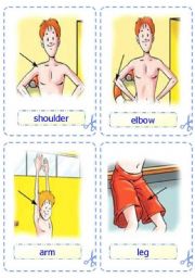 English Worksheet: Body - Flash-cards