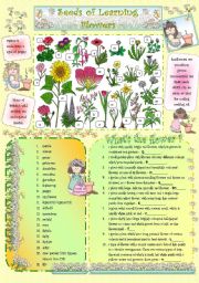 Seeds of Learning - Flowers -