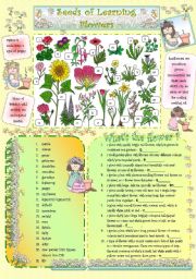 English Worksheet: Seeds of Learning - Flowers -