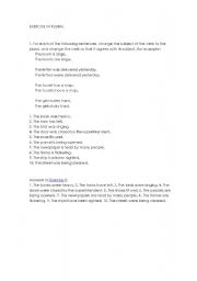 English Worksheet: EXERCISE IN PLURAL
