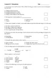 English Worksheet: Photosynthesis