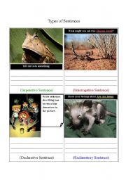 English Worksheet: Types of Sentences (Response Card 1) 
