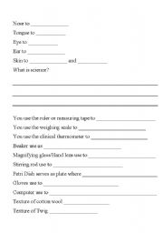 English Worksheet: Science Worksheets Primary One