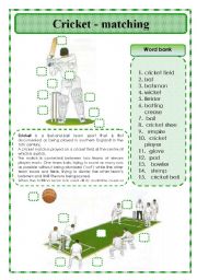 English Worksheet: Cricket -matching