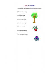 English worksheet: Nouns and adjectives