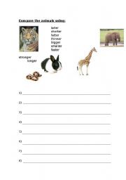 English worksheet: Compare the animals