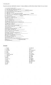 English Worksheet: Vocabulary