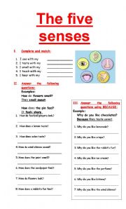 English Worksheet: The five senses