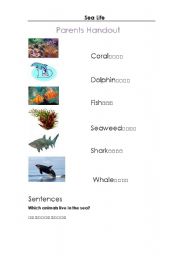 English worksheet: Sea Life