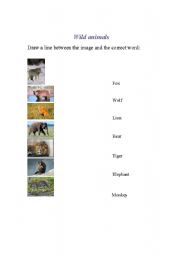 English worksheet: wild animals