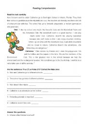 English Worksheet: Reading-Comprehension