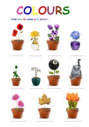 English Worksheet: COLOURS